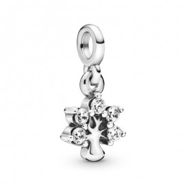 Pandora Charm en plata PANDORA ME Mi Naturaleza 798637CZ