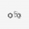 Pandora Pendientes Plata Panal brillante 298800C01