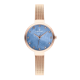 Reloj RADIANT North Star RA416206