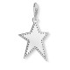 THOMAS SABO Colgante Charm Estrella Plateada Y0041-637-21