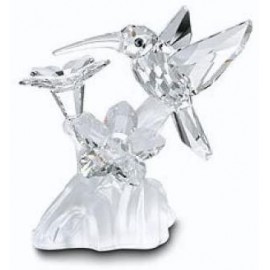 Swarovski Figura Cristal Colibrí 166184