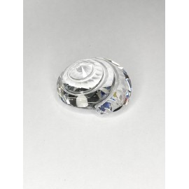 Swarovski Cristal SCS Adorno Maravillas del Mar Miembro Superior Shell 880693