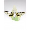 Swarovski Figura Cristal Objeto Amorita Paraíso Mariposa junquillo 622 743 